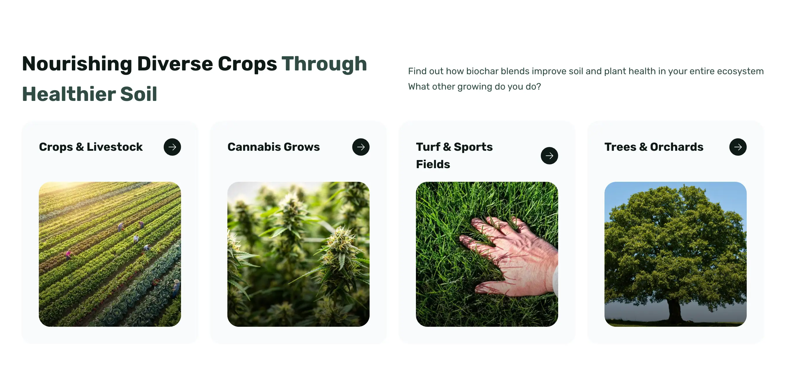 Multi-industry section, “Nourishing Diverse Crops Through Healthier Soil,” with cards for Crops & Livestock, Cannabis Grows, Turf & Sports Fields, and Trees & Orchards.