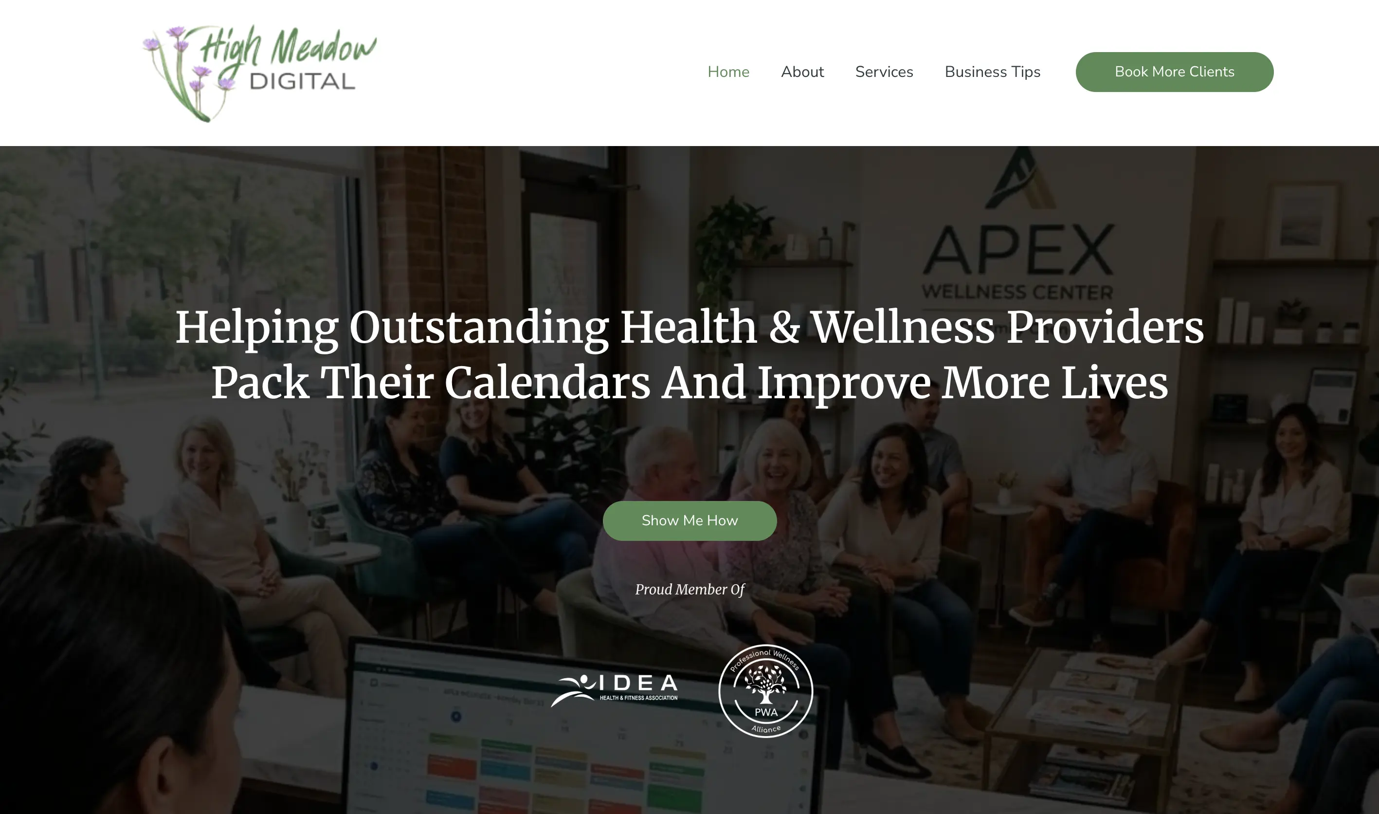 High Meadow Digital homepage hero: “Helping Outstanding Health & Wellness Providers Pack Their Calendars And Improve More Lives.”
